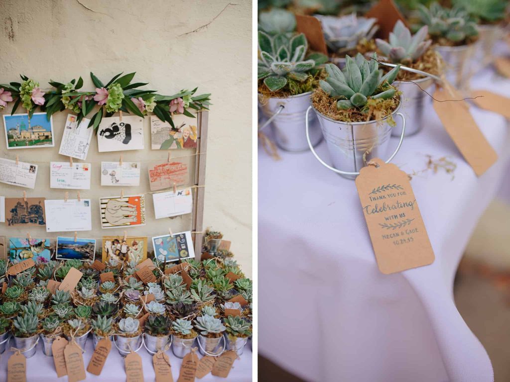 The Light + Color - Big Sur Wedding Photographers - McWay Falls Wedding
