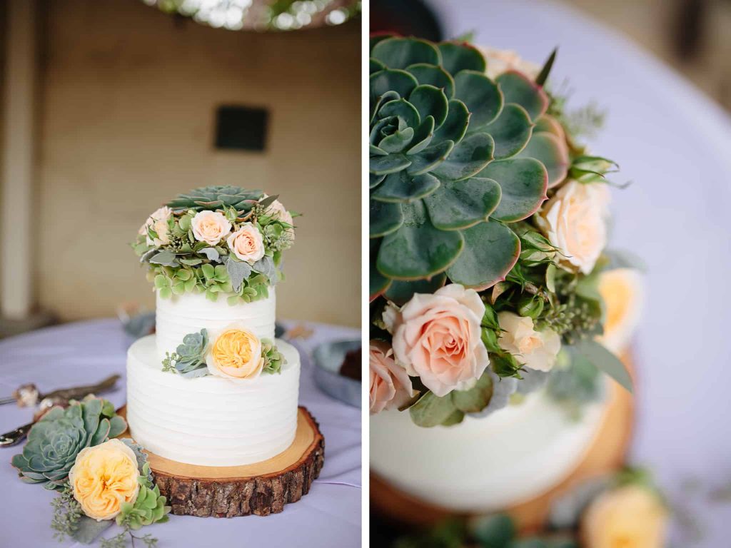 The Light + Color - Big Sur Wedding Photographers - McWay Falls Wedding