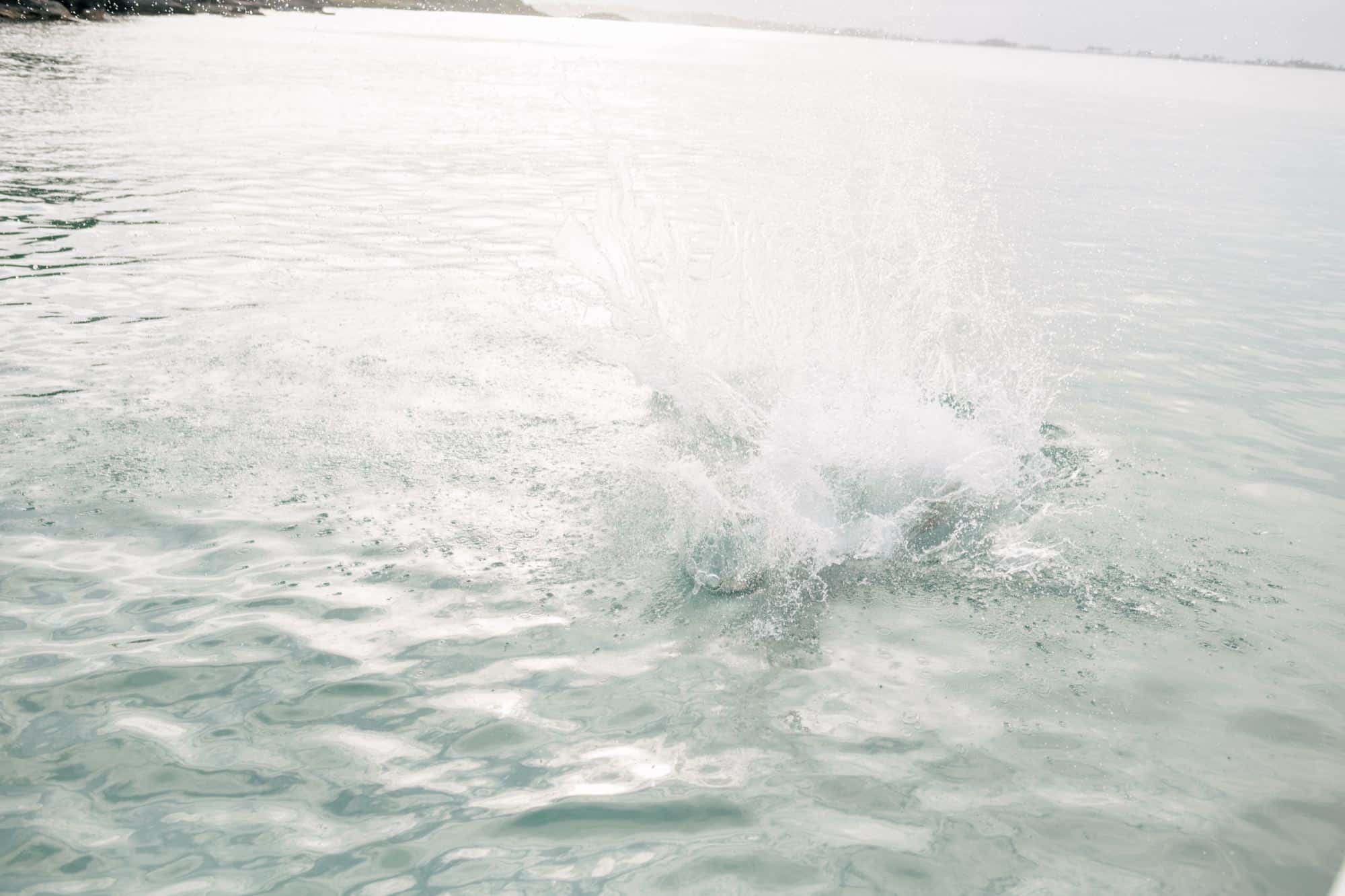 Coral beach club wedding Bermuda - Bride and groom jumped in the ocean